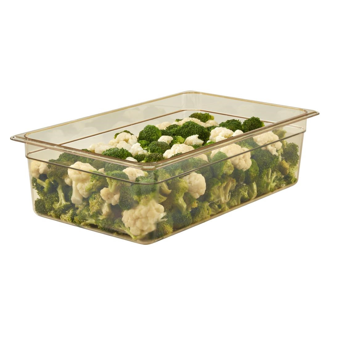 DW480 Cambro hittebestendige GN 1/1 bak 15cm