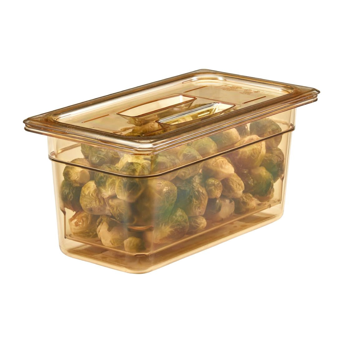 DC963 Cambro hittebestendig GN 1/3 deksel met handgreep
