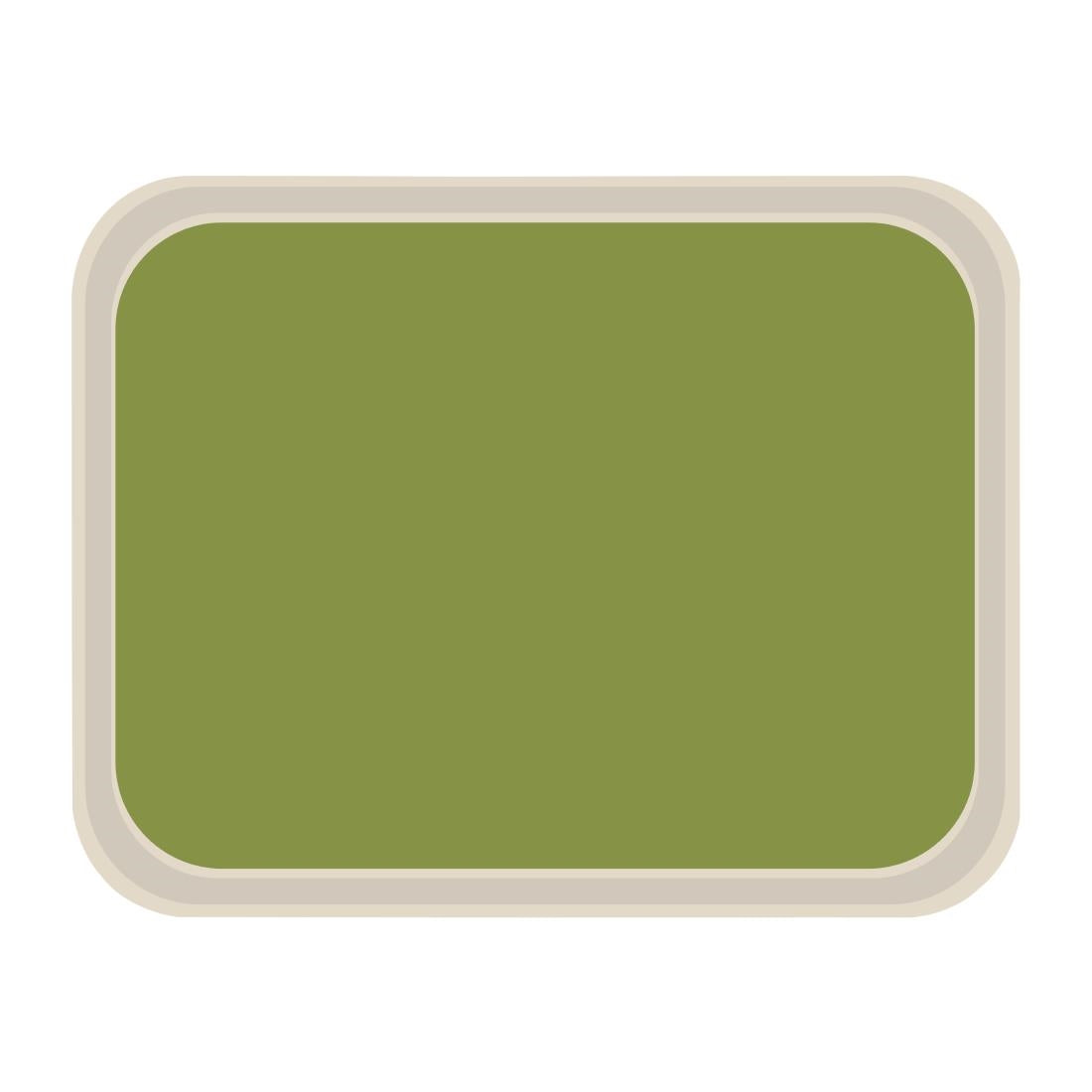 DS088 Roltex America polyester dienblad 46 x 36cm groen