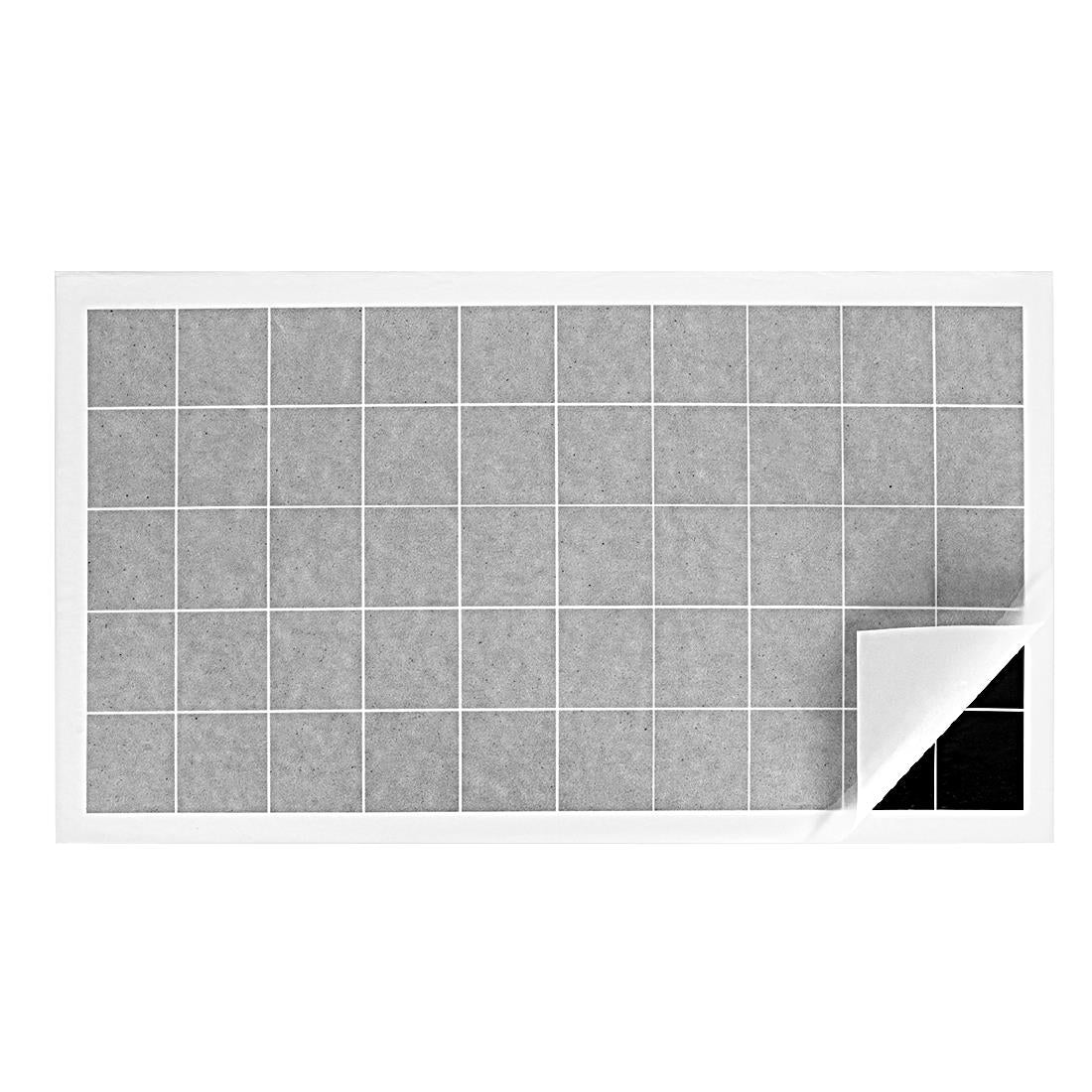 AS560 Eazyzap vliegenvanger kleefpapier (6 stuks)