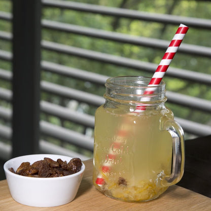 FB147 Fiesta Compostable rood/wit gestreepte papieren smoothierietjes 21cm (250 stuks)