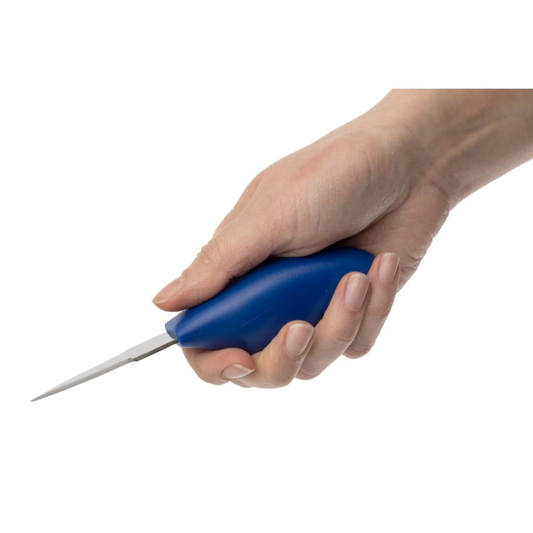GD022 Deglon Sabatier Dune oestermes