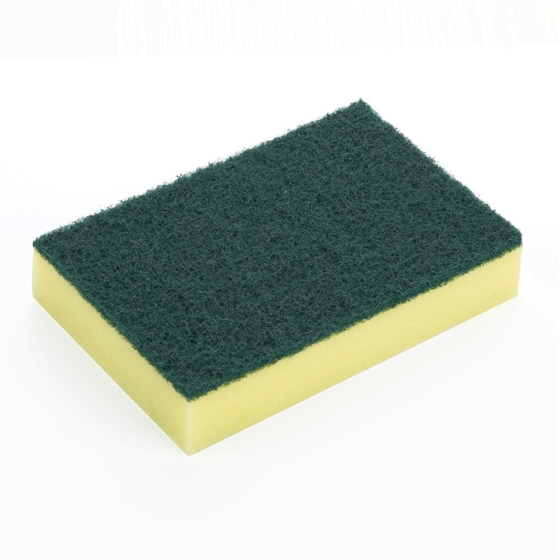 HX273 Jantex Schuim Schuursponsjes (10 stuks)