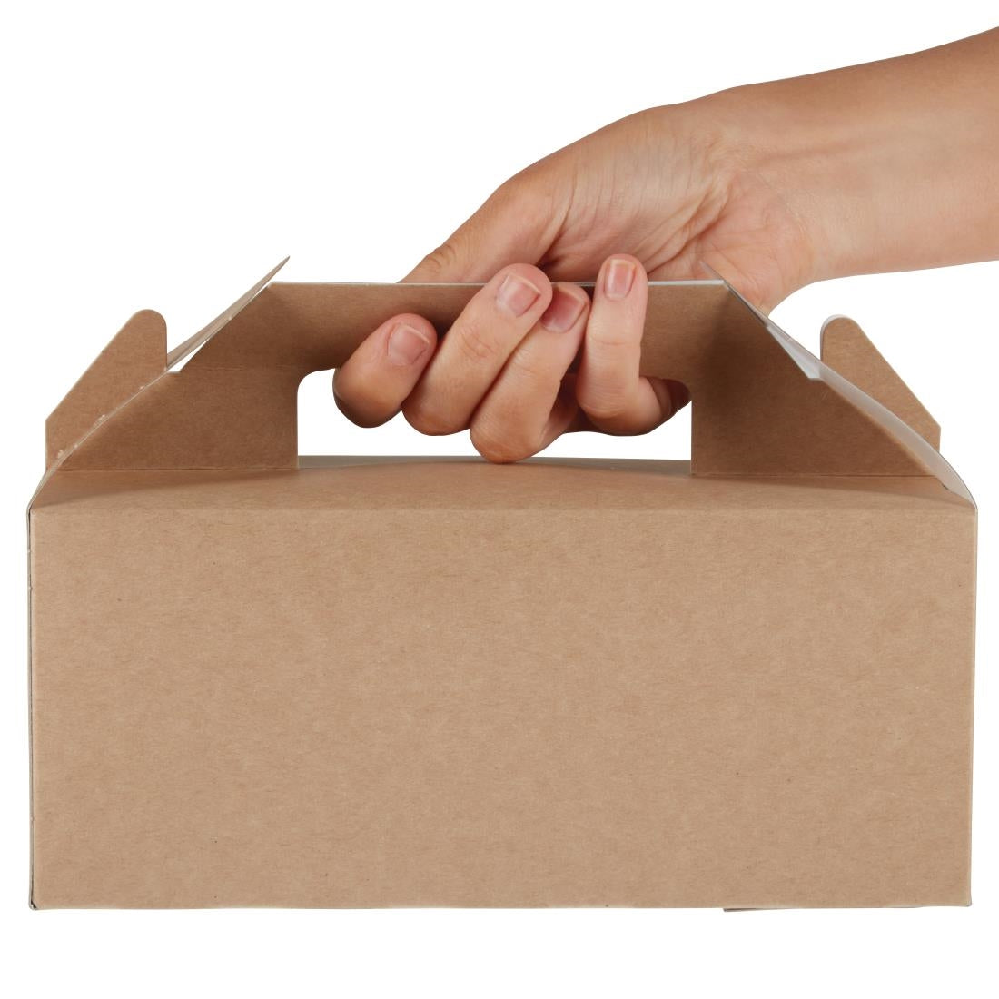 FA361 Colpac draagbare kraft voedselbakjes composteerbaar klein (125 stuks)