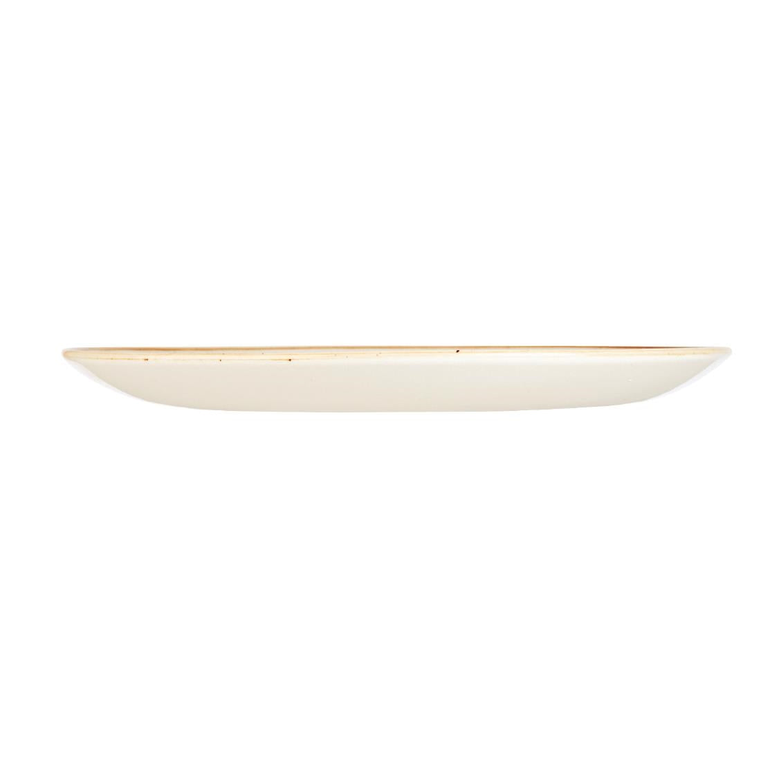 DK537 Churchill Stonecast Spiced Orange Evolve Coupe Bord 21.7cm (12 stuks)
