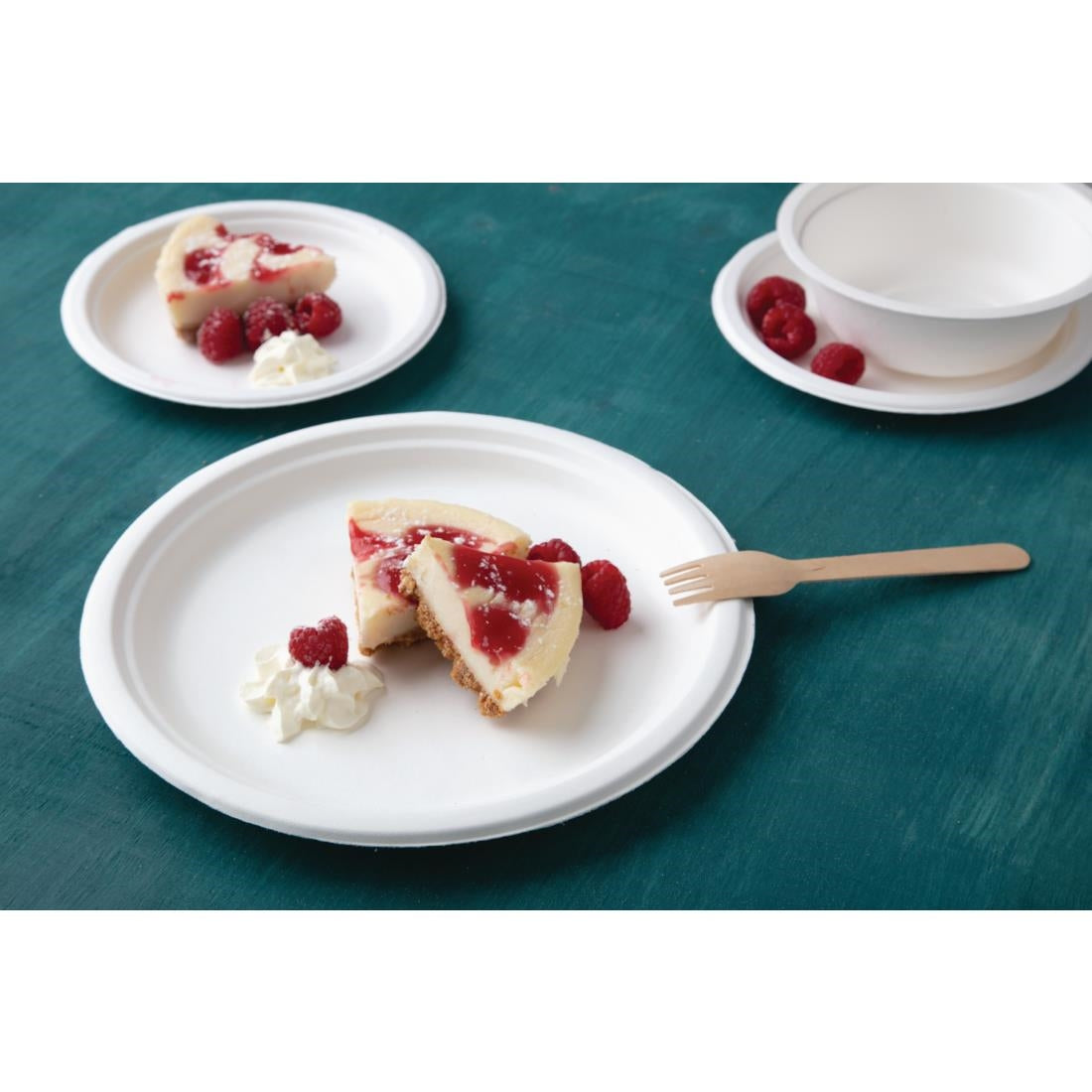 CW904 Fiesta Compostable composteerbare bagasse borden 26cm (50 stuks)