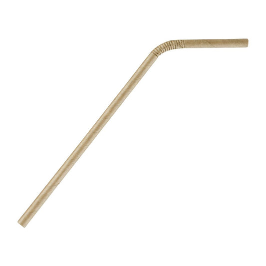 FB141 Fiesta Compostable composteerbare papieren buigrietjes kraft (250 stuks)
