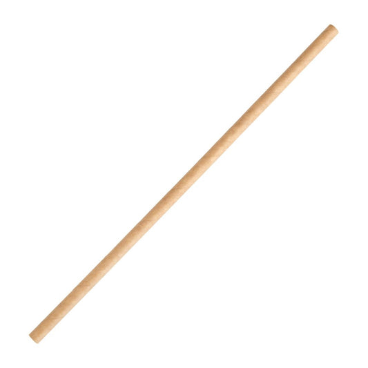 FB138 Fiesta Compostable composteerbare kraftpapieren rietjes (250 stuks)