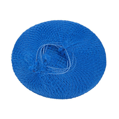 A291 Lion Haircare haarnet blauw (50 stuks)