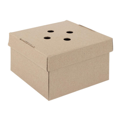 HP942 Fiesta Composteerbare Uitklapbare Hamburgerdozen (100 Stuks)