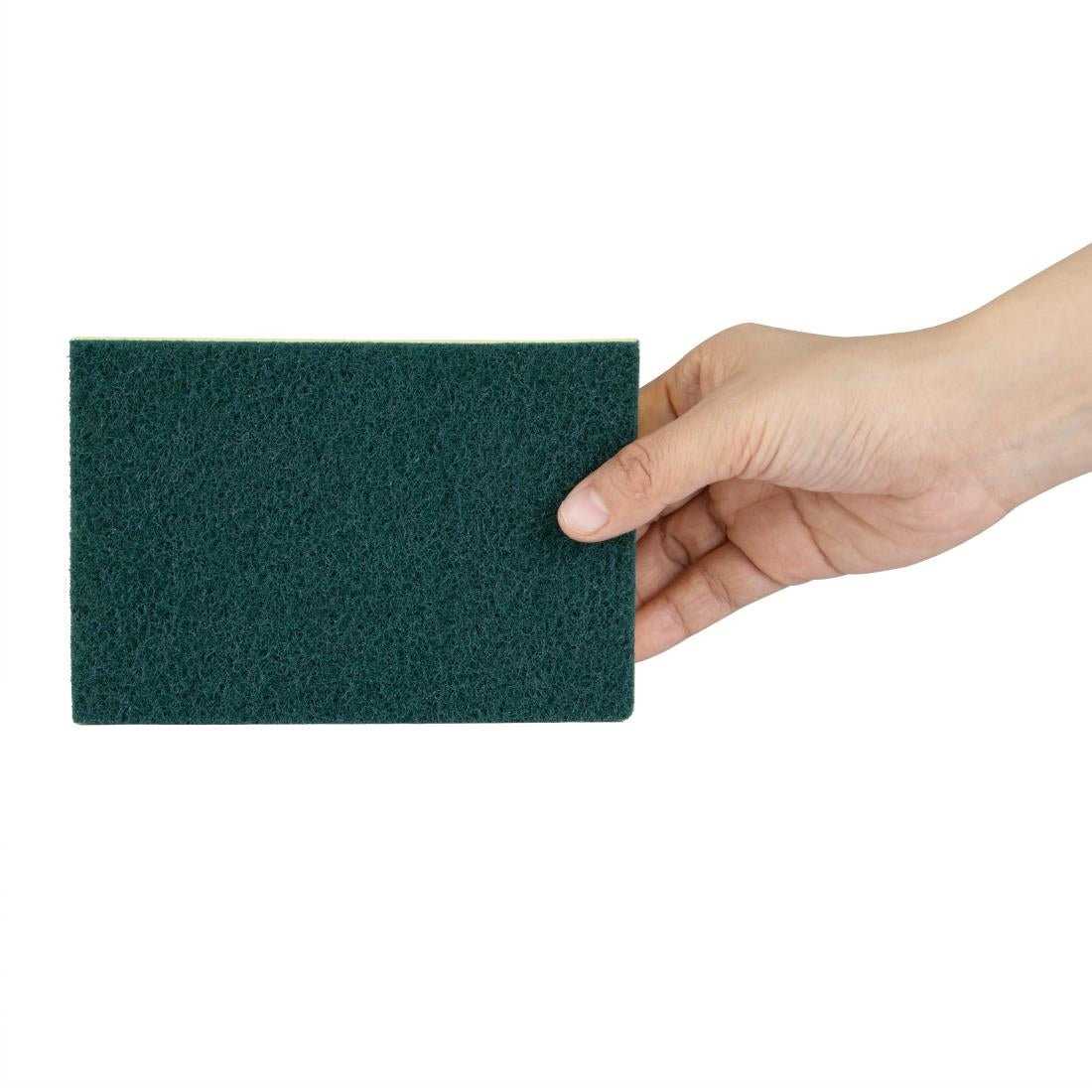 HX273 Jantex Schuim Schuursponsjes (10 stuks)
