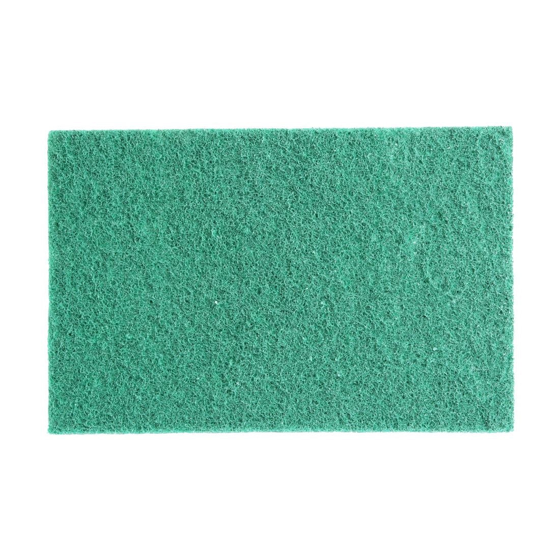 HW010 Jantex Groene Volledig Gerecyclede Schuursponsjes 9X6" (10 stuks)