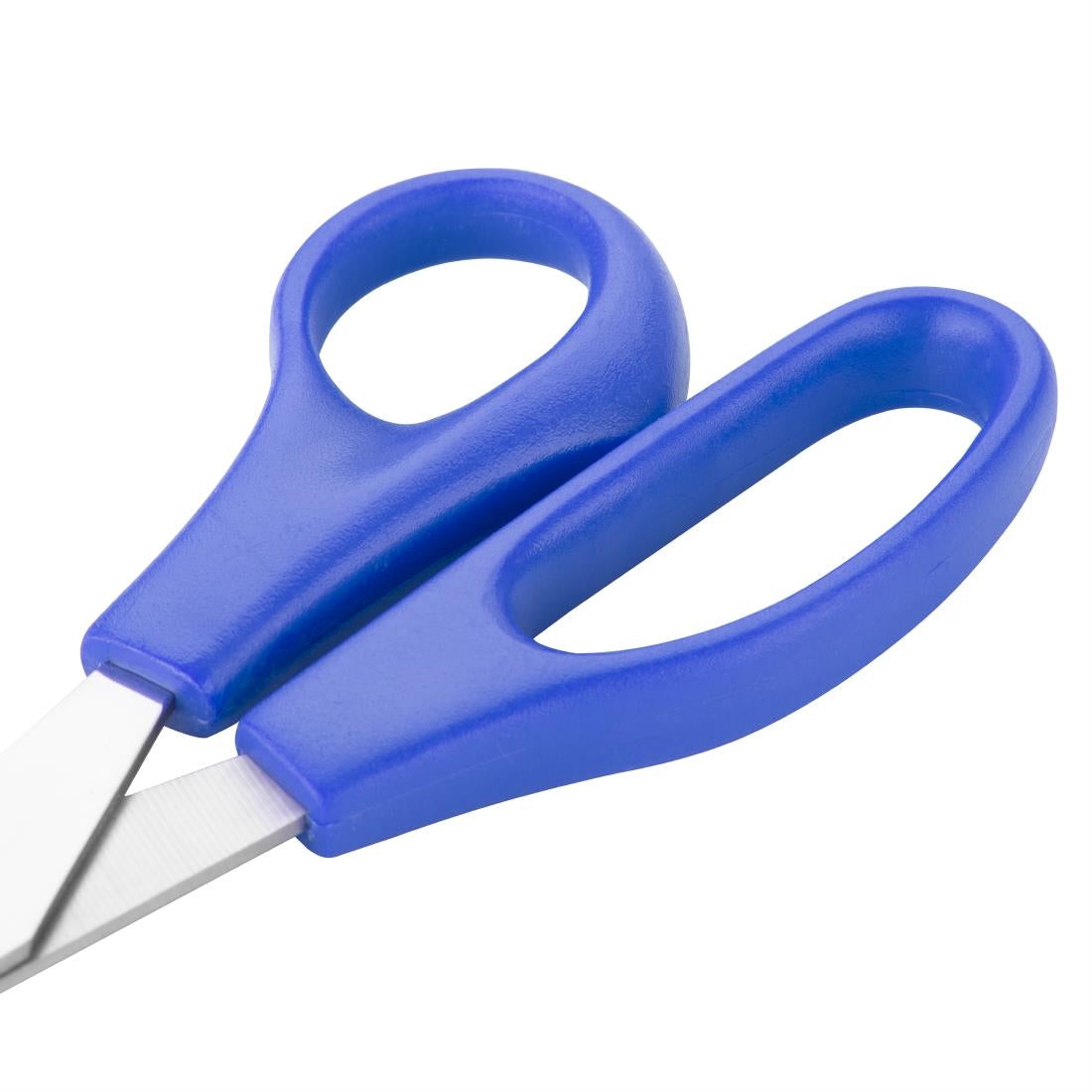 DM037 Hygiplas kleurcode schaar blauw