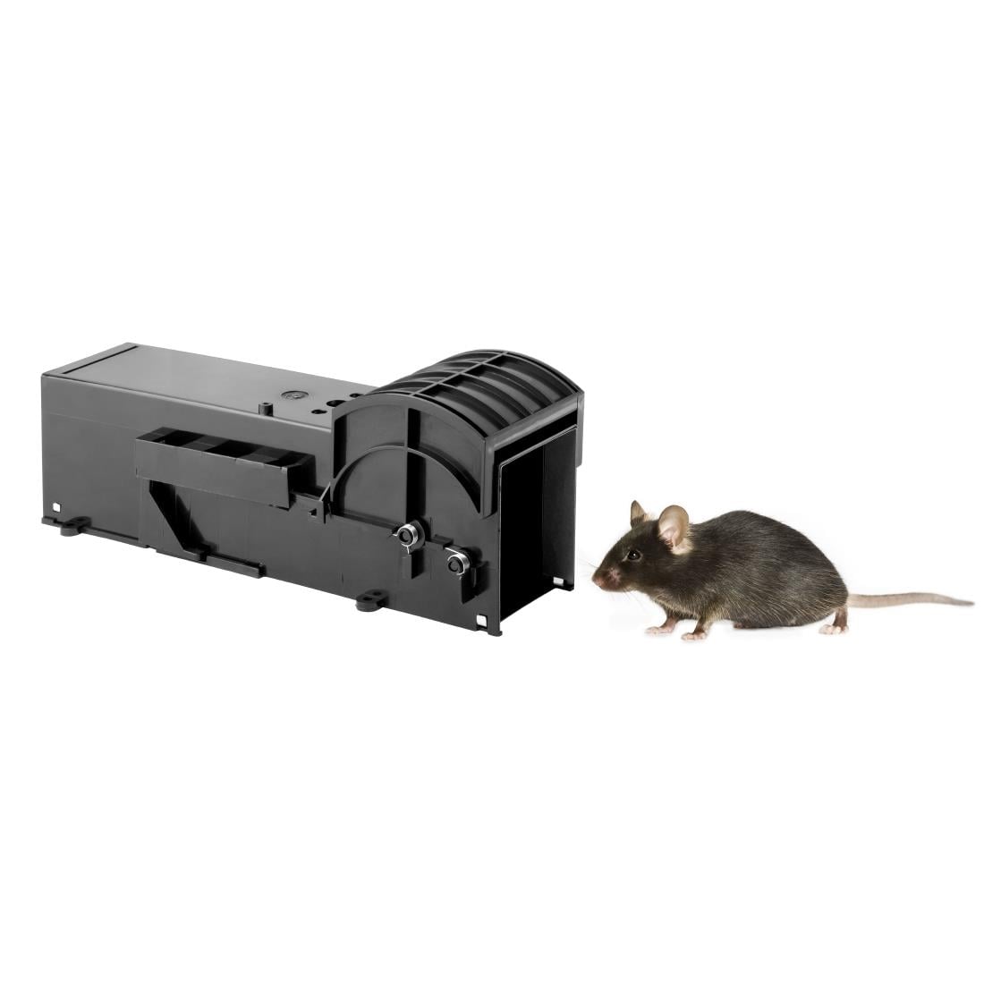 DR219 Eazyzap Live Capture muizenval (2 stuks)