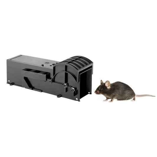 DR219 Eazyzap Live Capture muizenval (2 stuks)