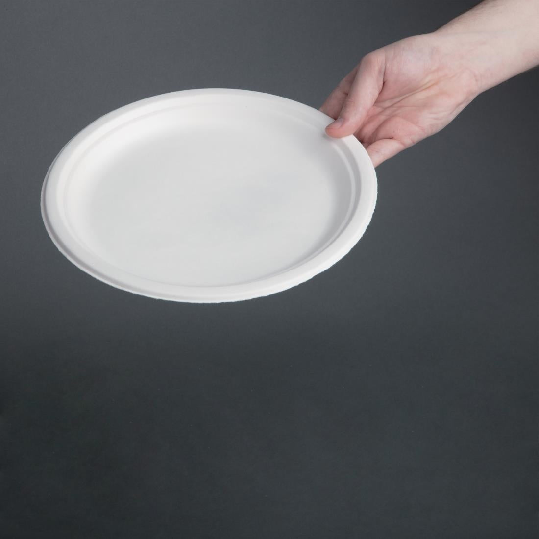 CW904 Fiesta Compostable composteerbare bagasse borden 26cm (50 stuks)
