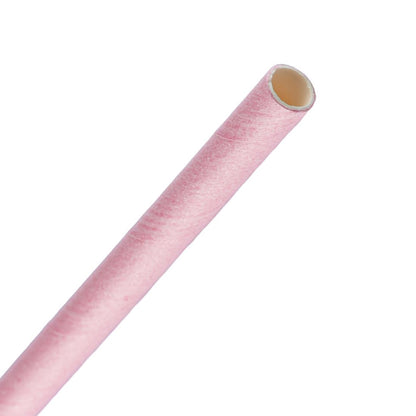 FB139 Fiesta Compostable composteerbare papieren rietjes roze (250 stuks)