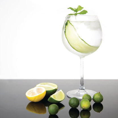 CW251 Olympia Bar Collection kristallen gin tonic glazen 645ml (6 stuks)