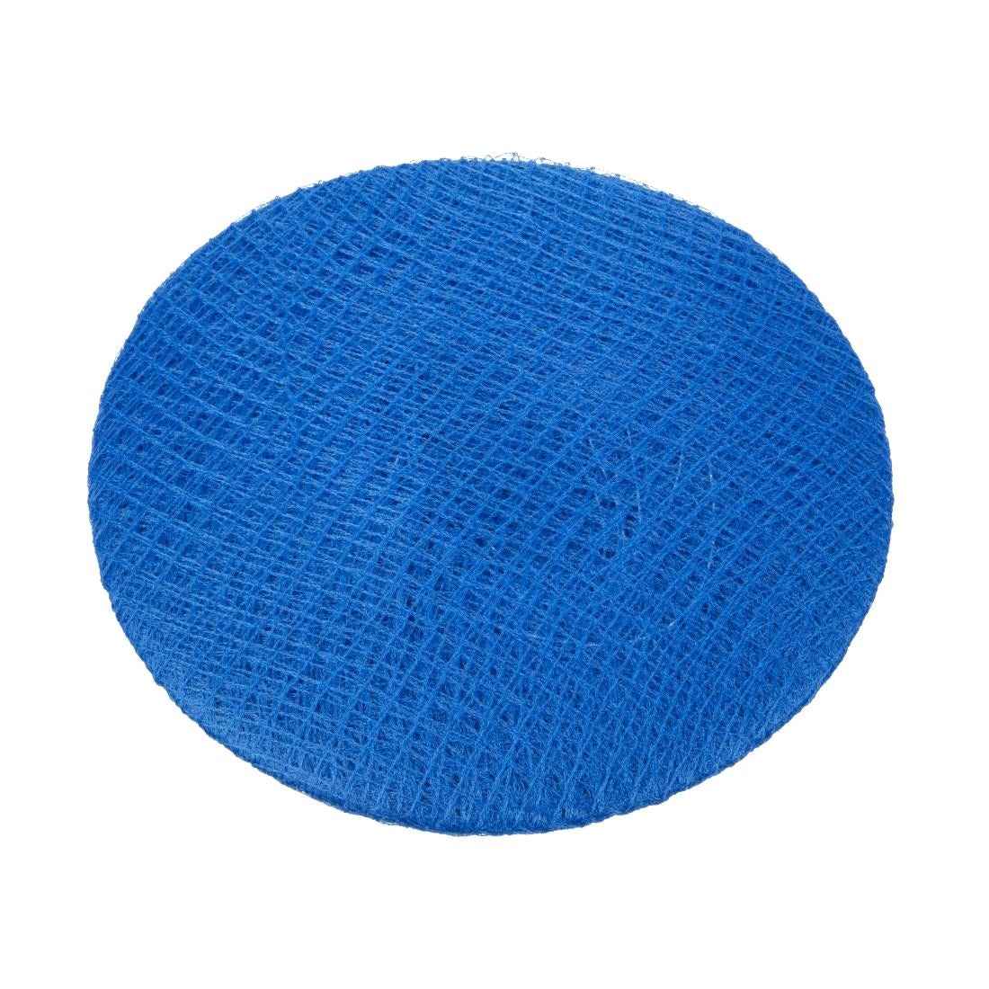 A291 Lion Haircare haarnet blauw (50 stuks)