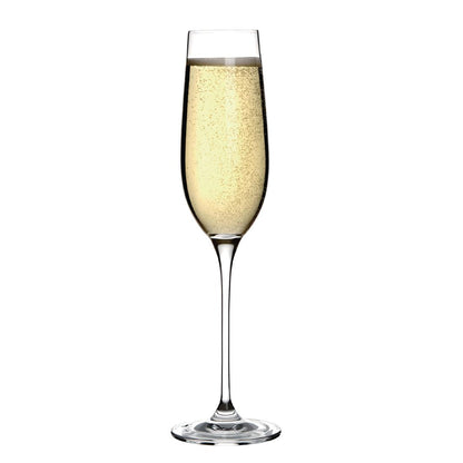 CS496 Olympia Campana champagneglazen 26cl (6 stuks)