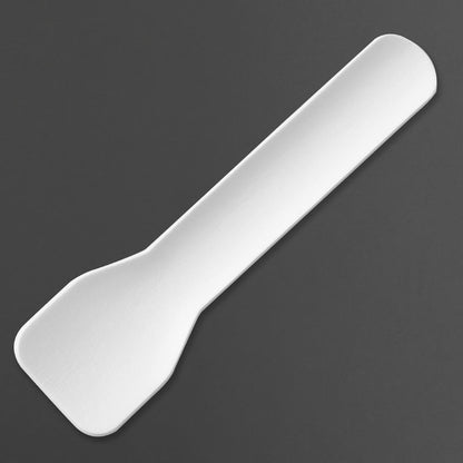 HT487 Fiesta Composteerbare Papieren Ijsschepjes 95mm (100 stuks)