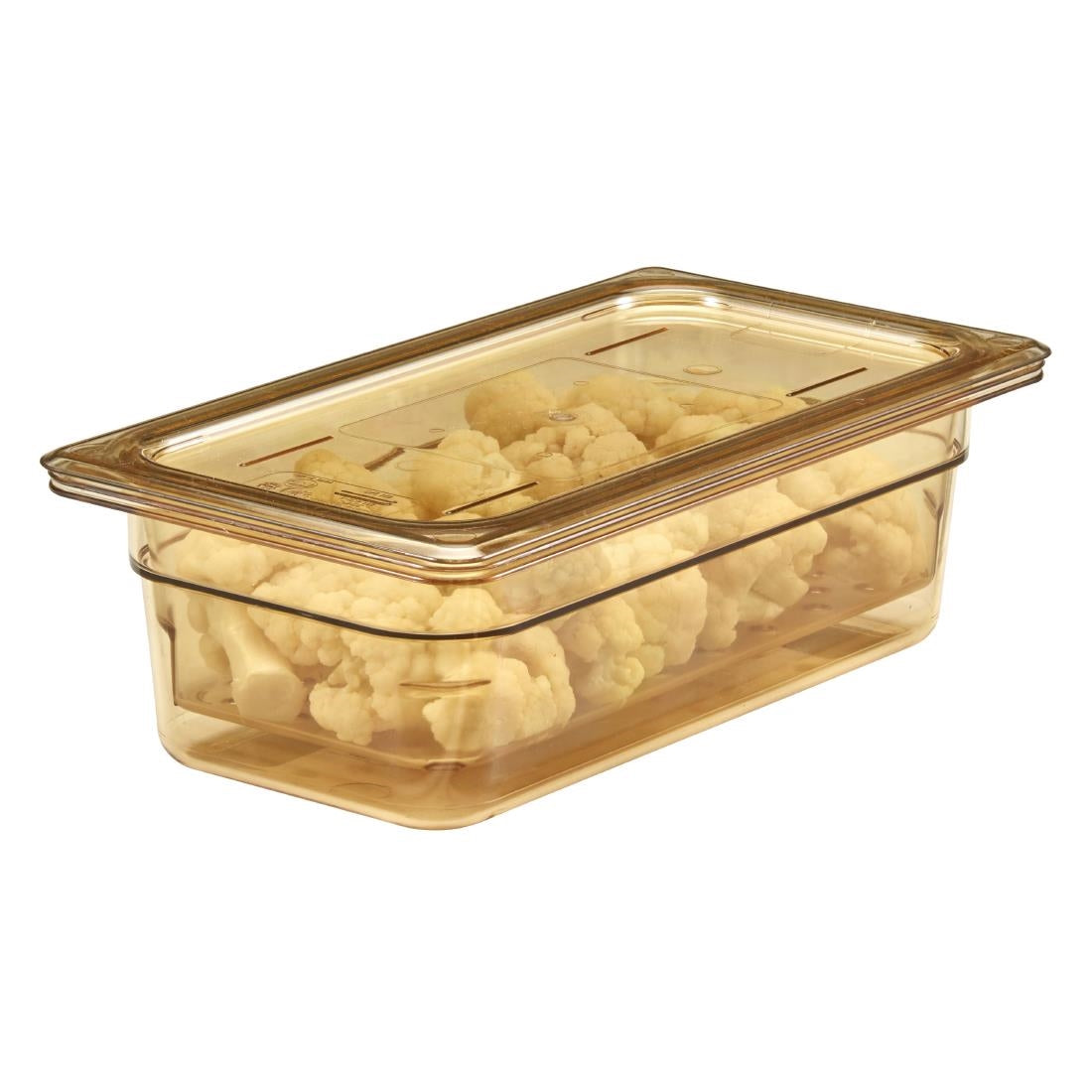 DW485 Cambro hittebestendige GN 1/3 bak 10cm