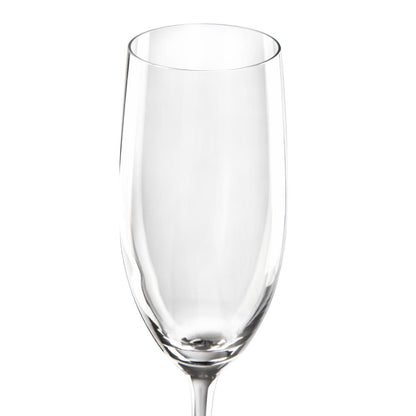 CJ050 Chef & Sommelier Cabernet Champagneglazen 240ml (24 Stuks)