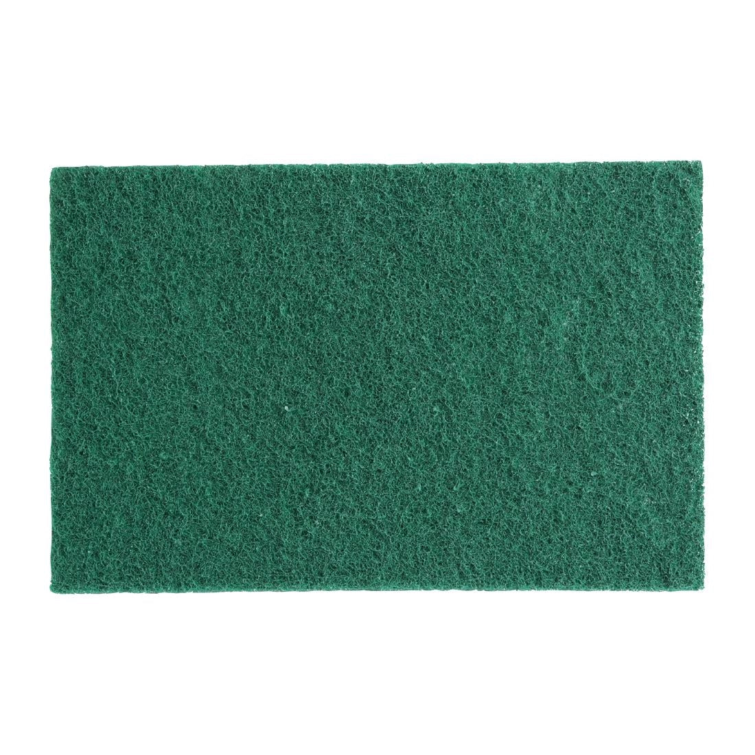 HX234 Jantex Kleine Schuursponsjes - Groen (10 stuks)