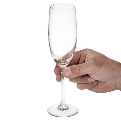 CJ050 Chef & Sommelier Cabernet Champagneglazen 240ml (24 Stuks)