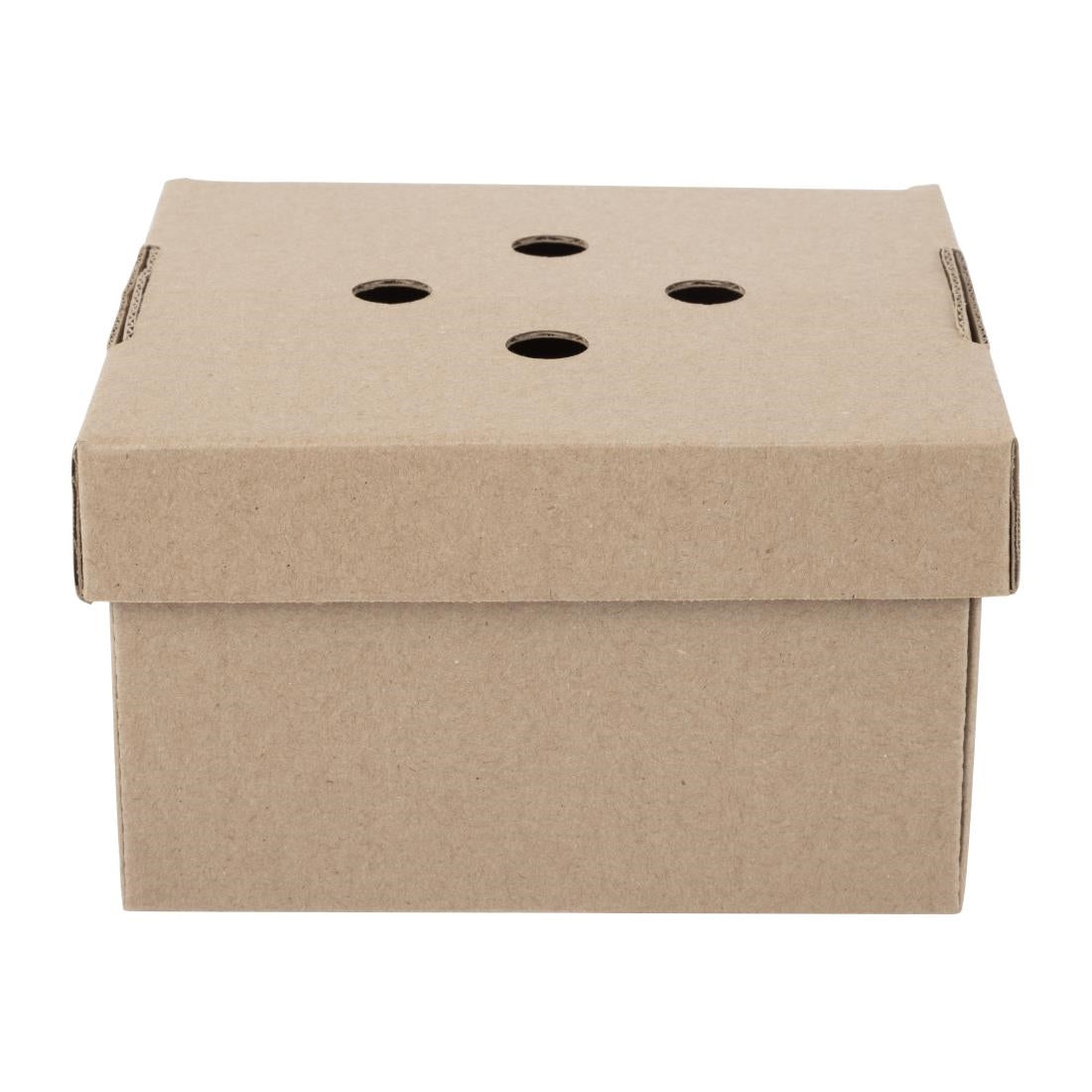 HP942 Fiesta Composteerbare Uitklapbare Hamburgerdozen (100 Stuks)
