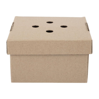 HP942 Fiesta Composteerbare Uitklapbare Hamburgerdozen (100 Stuks)