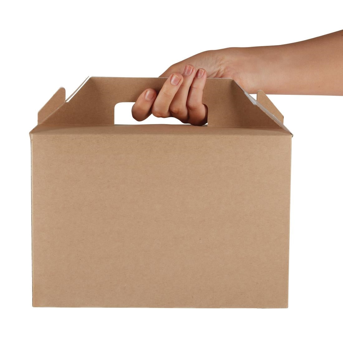 FA362 Colpac recyclebare kraft dozen groot (125 stuks)