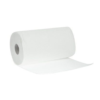 CT325 Regina Thirst Pockets keukenrollen (6 stuks)