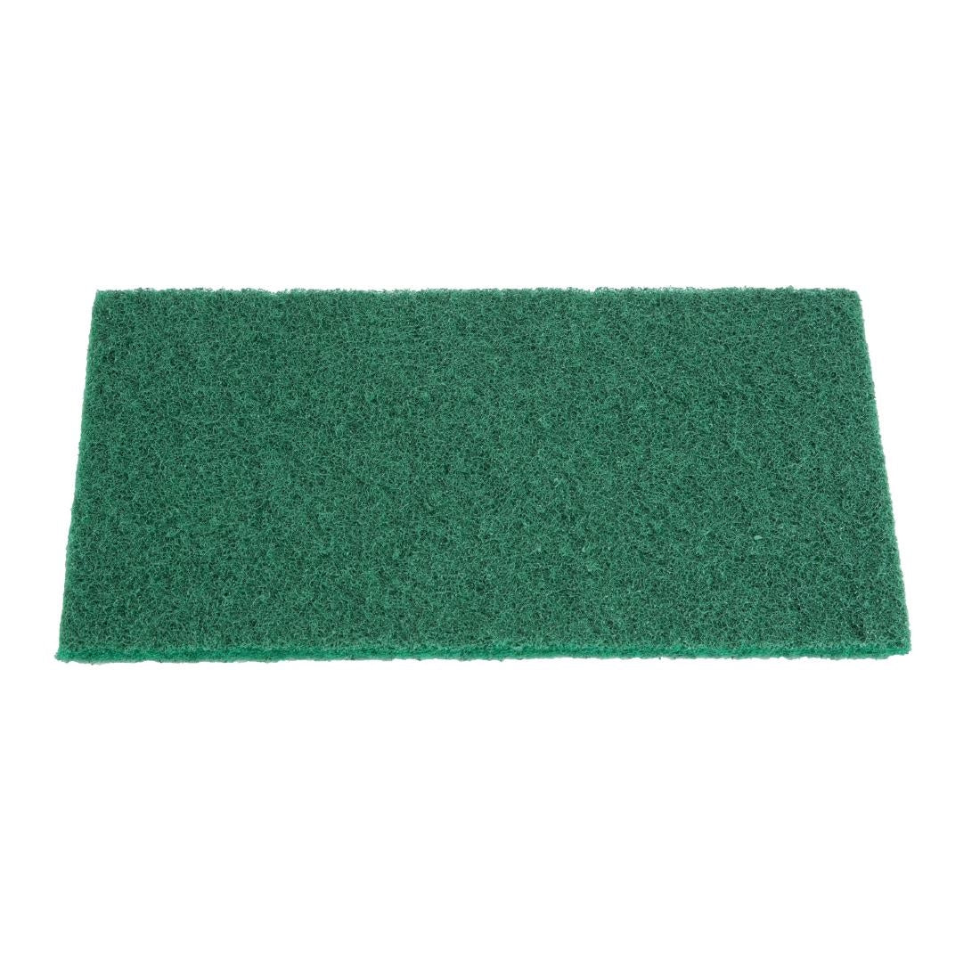 HX233 Jantex Grote Schuursponsen - Groen (10 stuks)