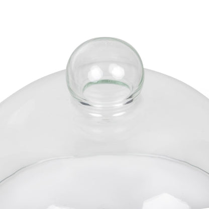 GJ532 Glazen cloche 21cm