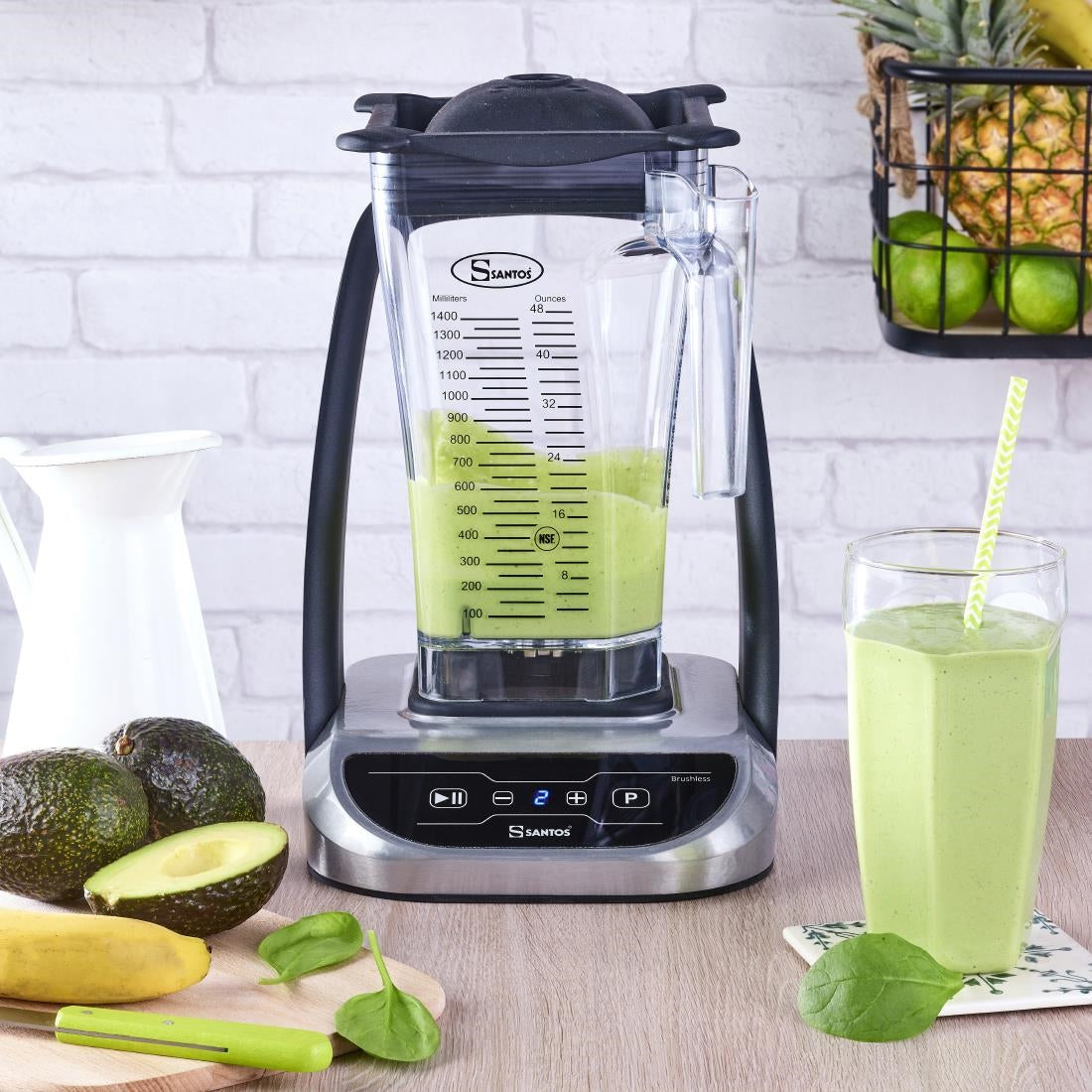 DM499 Santos 66 Compacte Blender